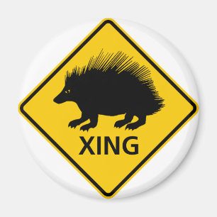 Porcupine Highlights Magnet