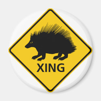 Porcupine Highlights Magnet
