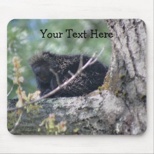 Porcupine in Tree Animal Nature Foto Mousepad