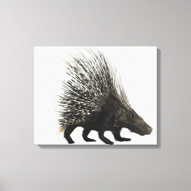 Porcupine Leinwanddruck (Vorderseite)