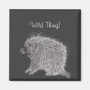 Porcupine Magnet
