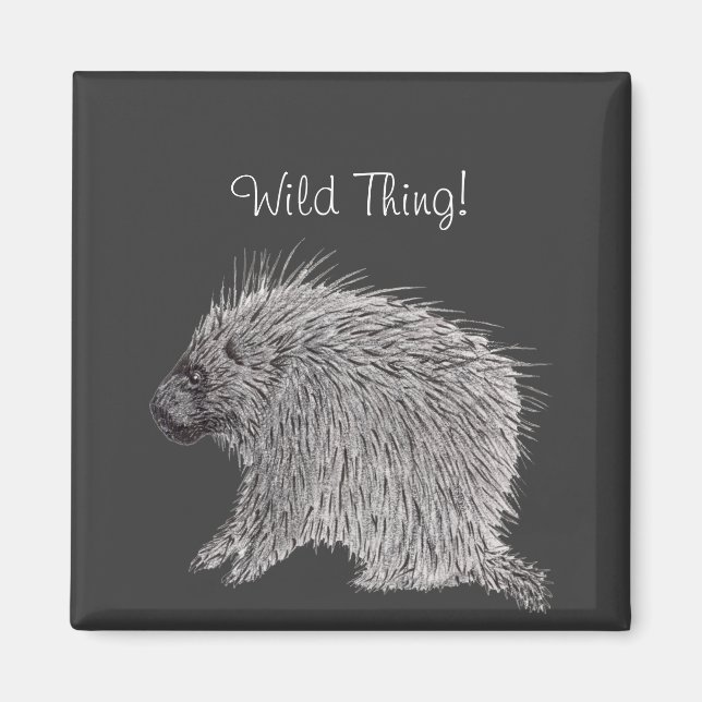 Porcupine Magnet (Vorne)