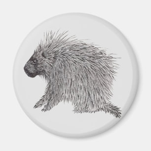 Porcupine Magnet