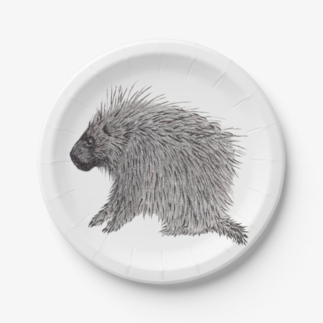 Porcupine Pappteller (Vorderseite)