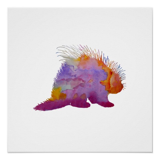 Porcupine Poster (Vorderseite)
