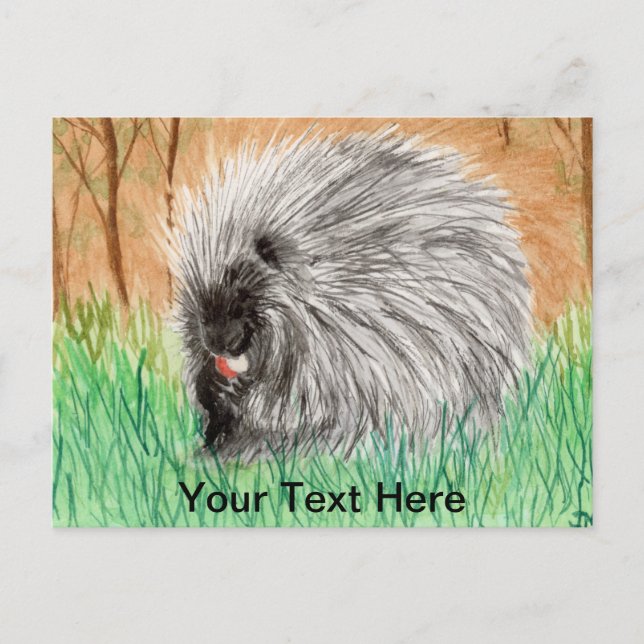 Porcupine Postkarte (Vorderseite)