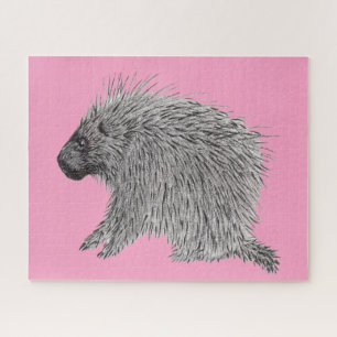 Porcupine Puzzle