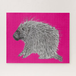 Porcupine Puzzle