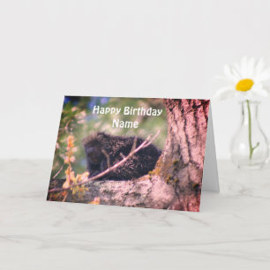 Porcupine Wildlife Personalisiert Geburtstag Karte