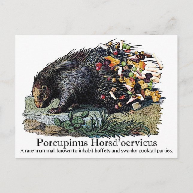Porcupinus Hoerd'oervicus Postkarte (Vorderseite)