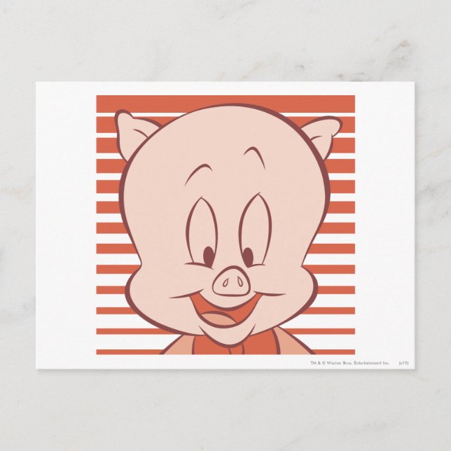 Porky Pig expressive 23 Postkarte (Vorderseite)