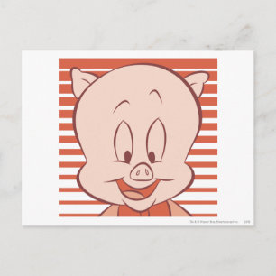 Porky Pig expressive 23 Postkarte