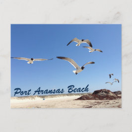 Port Aransas Beach Seagull Fotografie Hübsch Postkarte