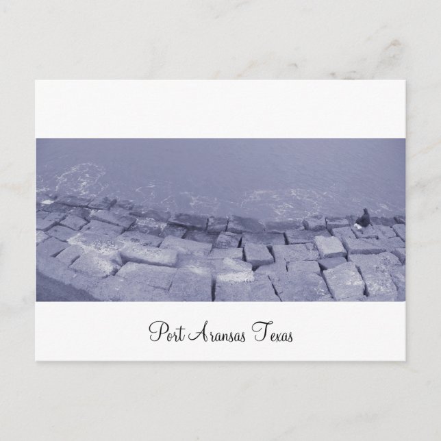 Port Aransas (Panorama) La Pesca Postcard Postkarte (Vorderseite)