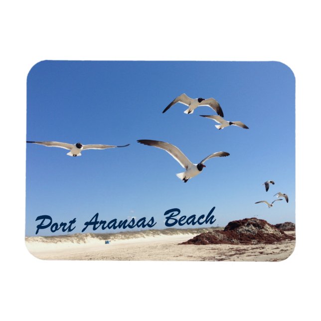 Port Aransas Seagull Fotografy Hübsch Beach Magnet (Horizontal)
