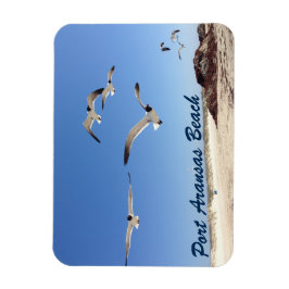 Port Aransas Seagull Fotografy Hübsch Beach Magnet