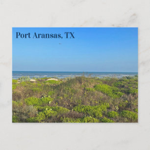Port Aransas Texas Beach Grass Fotografie Postkarte