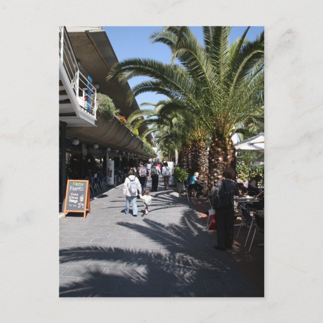 Port Olimpic, Barcelona Postkarte (Vorderseite)