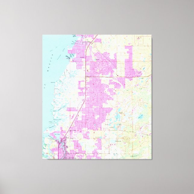 Port Richey & New Port Richey Florida Map (1954) Leinwanddruck (Vorderseite)