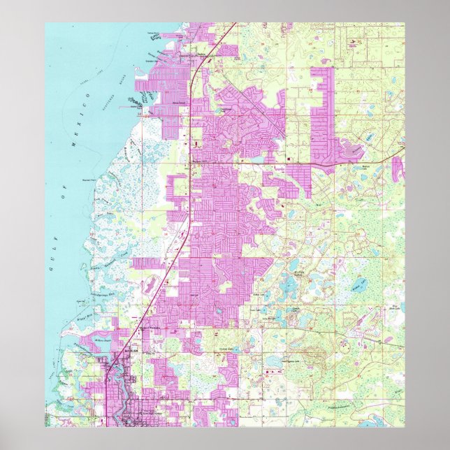 Port Richey & New Port Richey Florida Map (1954) Poster (Vorne)