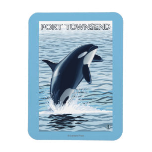 Port Townsend, WashingtonOrca Jumping Magnet