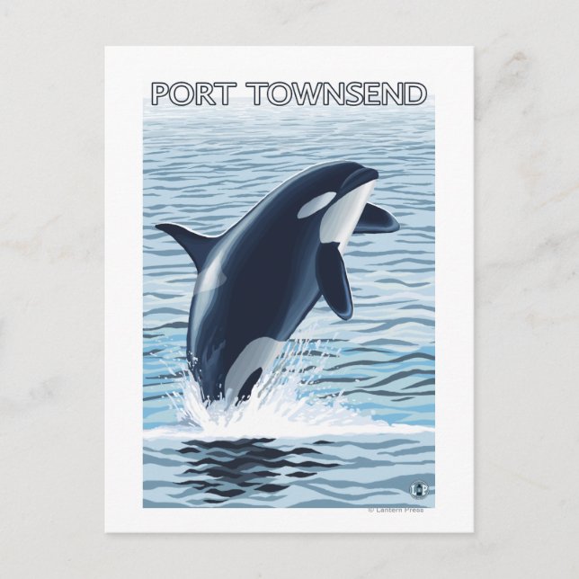 Port Townsend, WashingtonOrca Jumping Postkarte (Vorderseite)