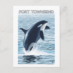 Port Townsend, WashingtonOrca Jumping Postkarte