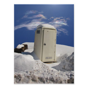 Portable Potty ~ Foto