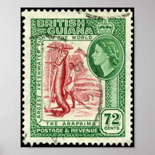 Portfolio 72c Briefmarken-britisches Guayanas 1954 Poster