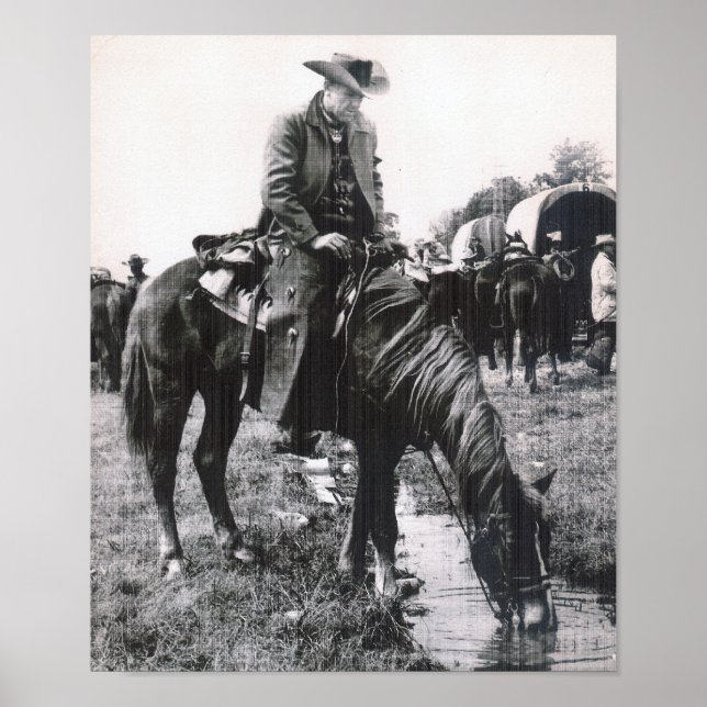 PORTFOLIO-DRUCK 11 X 13.31 POSTER (Vorne)