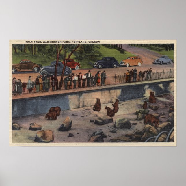 Portland, ORBear Dens in Washington Park Poster (Vorne)