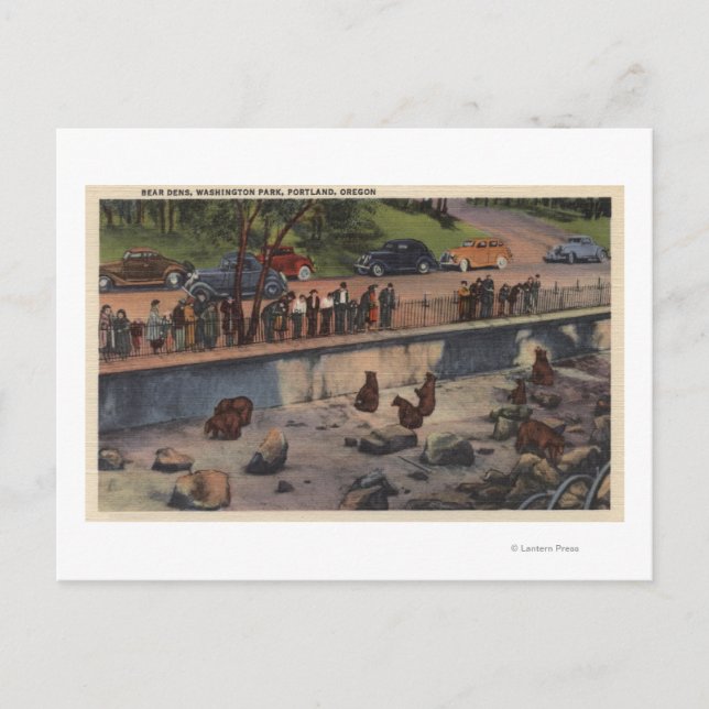 Portland, ORBear Dens in Washington Park Postkarte (Vorderseite)