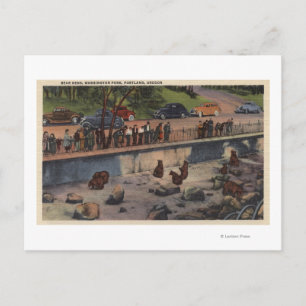 Portland, ORBear Dens in Washington Park Postkarte