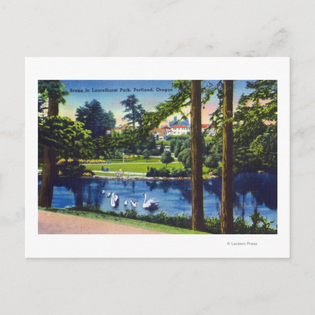 Portland, Oregon, Laurelhurst Park Scene Postkarte (Vorderseite)