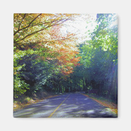 Portland, Oregon Road zum Rose Garden Magnet