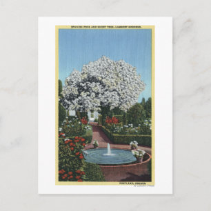 Portland, Oregon - Spanischer Pool und Ghost Tree Postkarte