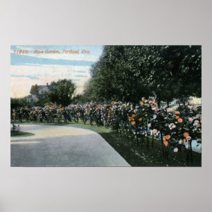 Portland, OregonAussicht auf einen Rose Garten Poster