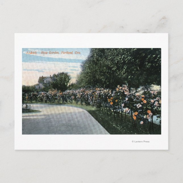 Portland, OregonAussicht auf einen Rose Garten Postkarte (Vorderseite)