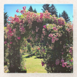 Portland Rose Garden, OR Glasuntersetzer