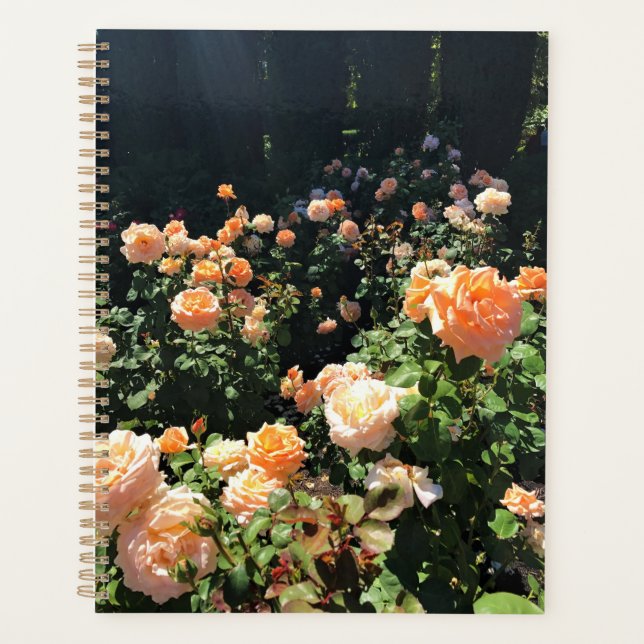 Portland Rose Garden, OR Planer (Vorderseite)