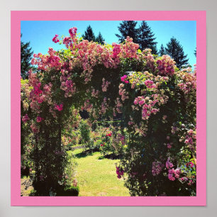 Portland Rose Garden, OR Poster