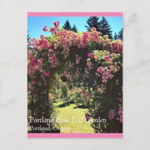 Portland Rose Garden, OR Postkarte