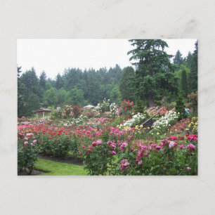 Portland Rose Garden. Postkarte