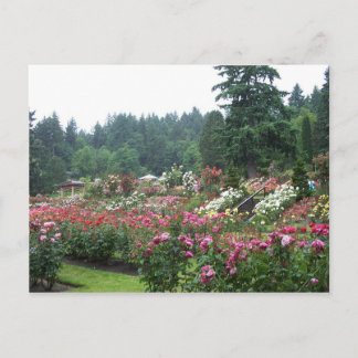 Portland Rose Garden. Postkarte