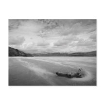 Portmeirion Postcard