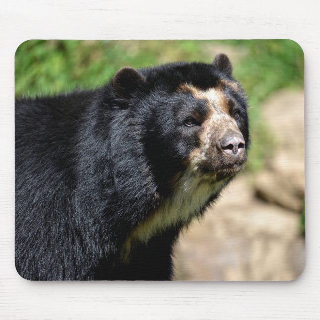 Portrait Andean Mousepad (Vorne)