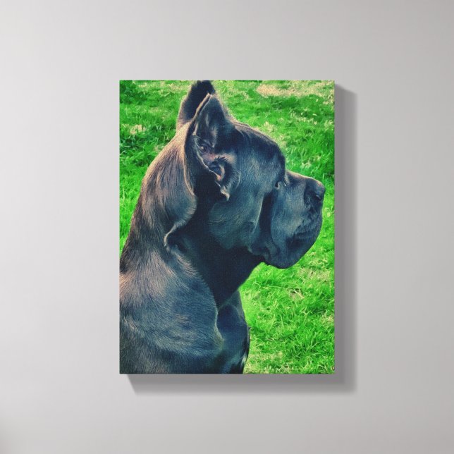 Portrait Cane Corso Leinwanddruck (Vorderseite)