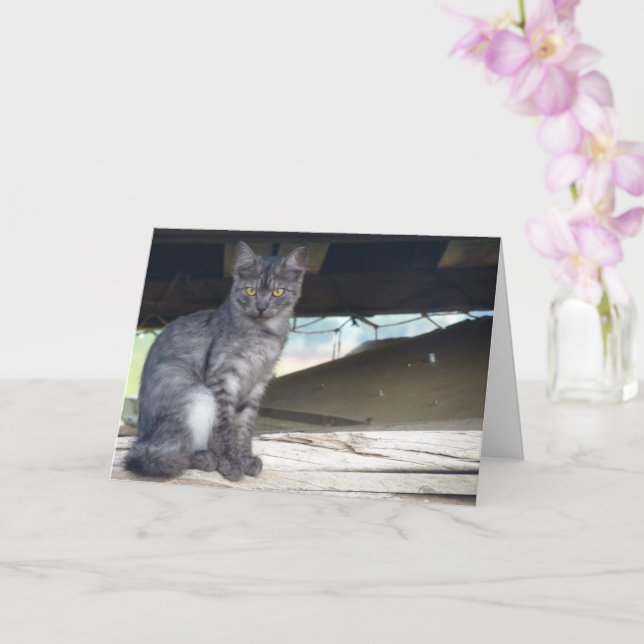 Portrait Card der Gemeinschaft Karte (Orchidee)