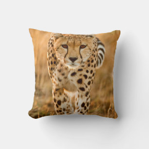 Portrait Cheetah (Acinonyx Jubatus), Massai Kissen