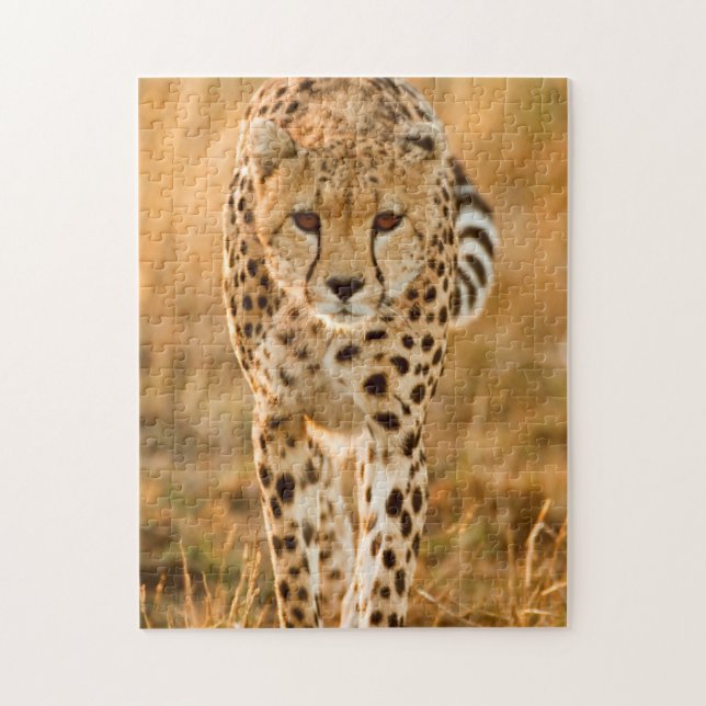 Portrait Cheetah (Acinonyx Jubatus), Massai Puzzle (Vertikal)